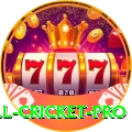 all cricket - Turbo Edition v2.3.0