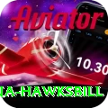 antigua hawksbill Premium Edition v3.4.6