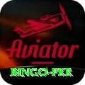Bingo PKR Master Pro v4.6.8