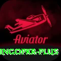 bingopkr Pro v5.1.0