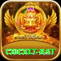 cricket bat Elite Pro v5.2.5