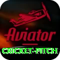 cricket pitch Apps (Tools & Injectors) Plus v4.1.5