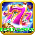 david gower Gold Edition v4.8.0