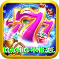 david wiese Premium Plus v1.8.2