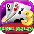 dawid malan Pro1 v3.3.4
