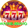 dwayne bravo Plus v4.0.6