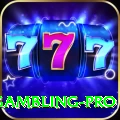 gambling - Casino Super