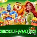india cricket match Apps (Tools & Injectors) VIP v3.1.2