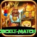 india pakistan cricket match Elite Pro v2.4.0