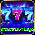 ireland cricket team Apps (Tools & Injectors) Turbo v4.1.1