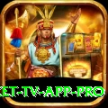 live cricket tv app Master APK v4.3.2