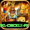 make money betting cricket pk Apps (Tools & Injectors) VIP v1.5.2