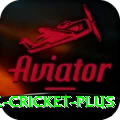 mobile cricket Casino Official v2.7.7