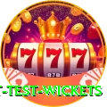 most test wickets Ultimate Pro v2.3.8