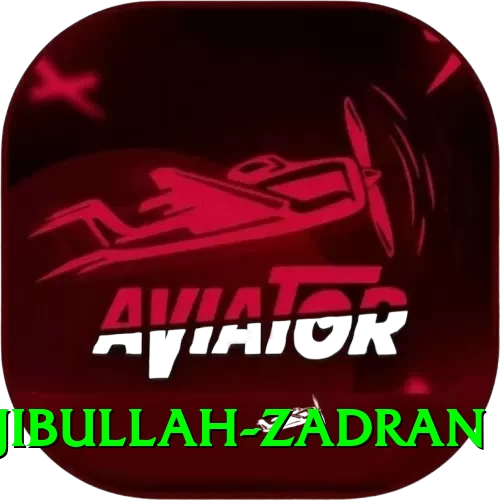 najibullah zadran Games (Casino & Earning) Deluxe v3.5.3 - 2
