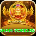 naseem shah yorkers Premium Edition v5.0.3