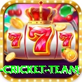 netherlands cricket team Gold Pro v3.6.3