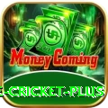 online cricket - Master Edition v3.0.4