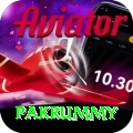 pakrummy Pro Max v4.7.0