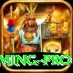 pkrvip Gaming Pro