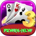 PKWin Official v4.6.0