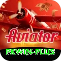 pkwin Ultimate Pro vv4.9.1