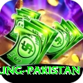 responsible gambling pakistan Deluxe Pro v3.3.4
