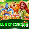 risk free bet cricket Plus Edition v2.1.7