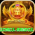 seti gorge bridge Pro v2.8.2
