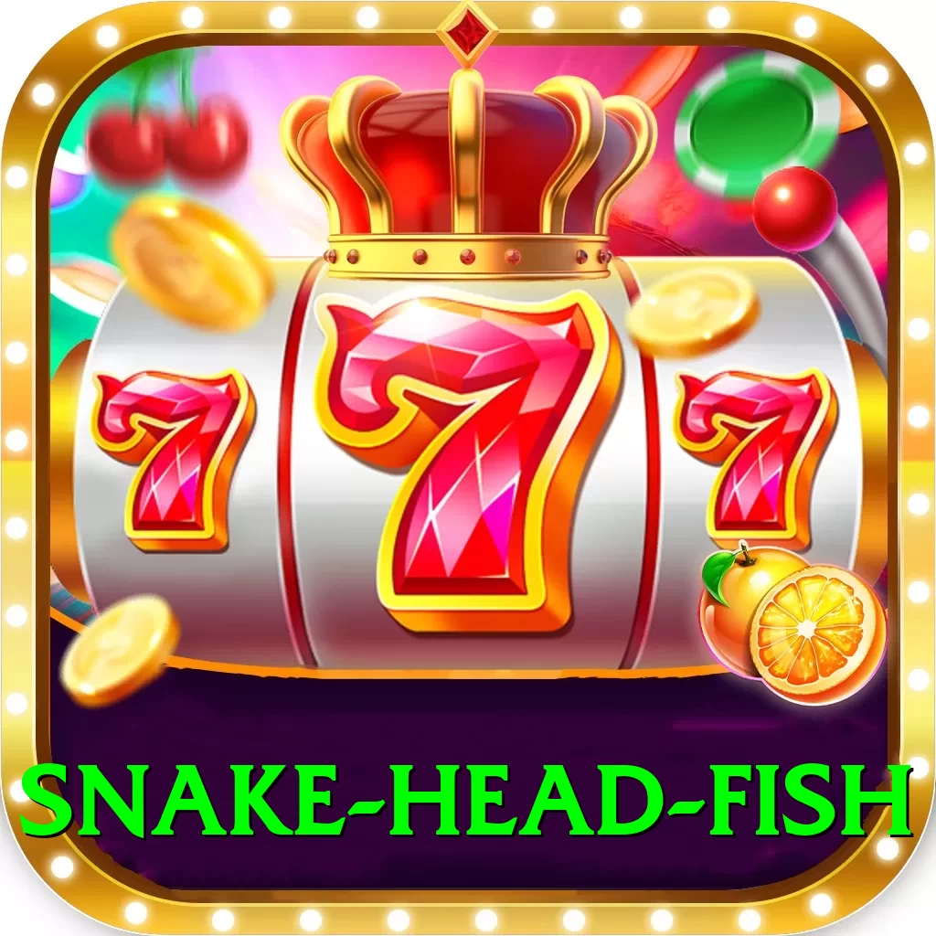 snake head fish Turbo Pro v3.5.4 - 2