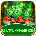 steve waugh Elite Pro v4.7.9