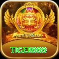 tiger888 Master Pro vv3.1.7