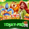 tojay APK Plus v4.2.7