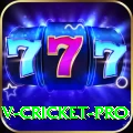v cricket Pakistan Legend v2.3.8