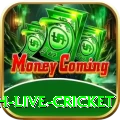 watch live cricket Premium Plus v5.5.4