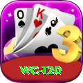 wc t20 Pro1 v2.6.1