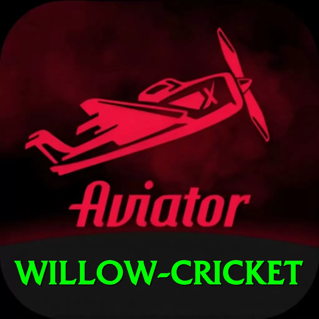 willow cricket Elite v5.9.9 - 2