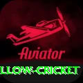 willow cricket Elite v5.9.9