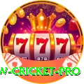 willow cricket Casino Official v3.0.9