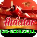 world t20 schedule Deluxe v1.9.9